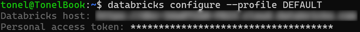 Setting up your Databricks configuration profile